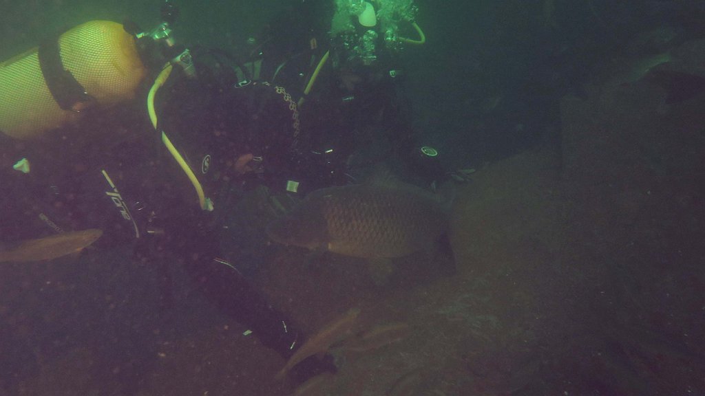 210724_La Gombe_58b.jpg